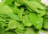 Arugula 