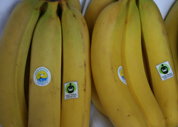 Bananas