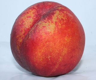 Nectarines
