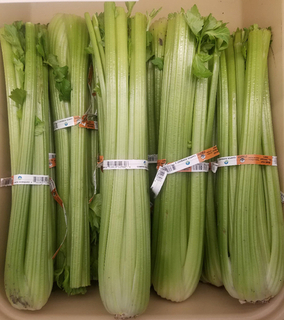 Celery