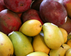 Mangoes