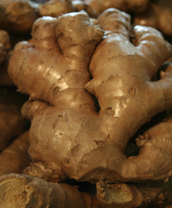 Ginger Root - Yellow