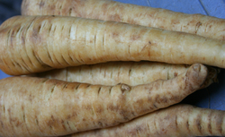 Parsnips 