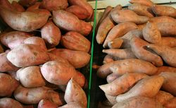 Sweet Potato/Yam 