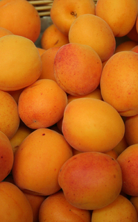 Apricots 