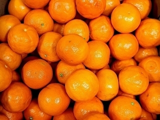 Mandarines