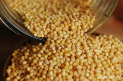 millet thumbnail