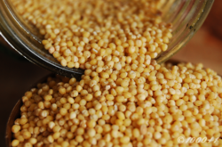 Grain - Millet