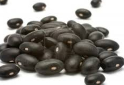 black turtle bean thumbnail