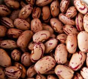 cranberry beans thumbnail