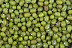 mung beans thumbnail