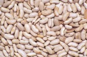 navy beans thumbnail