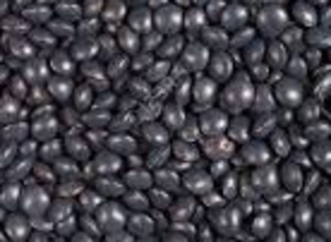 lentils beluga thumbnail