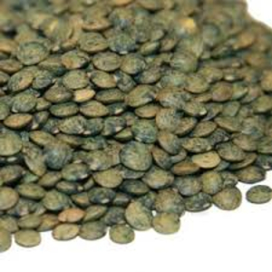 lentils french thumbnail