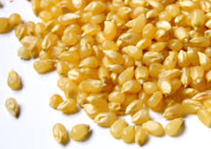 popcorn thumbnail