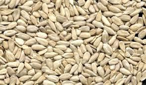 Sunflower Seeds thumbnail