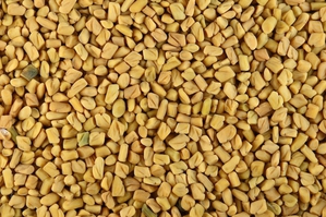 fenugreek thumbnail