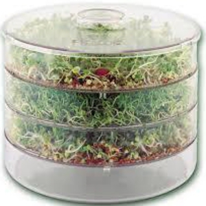 Sprouter 3 Trays thumbnail