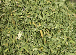 Alfalfa Leaf thumbnail
