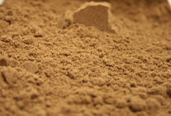 Allspice Ground thumbnail