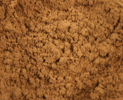 Jamaican Allspice thumbnail