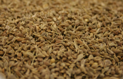 Anise Seed thumbnail