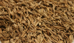 Caraway Seed thumbnail