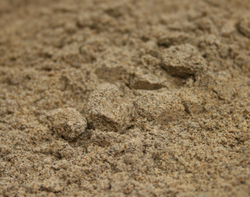 Cardamom Seed Ground_Bulk_Loose thumbnail