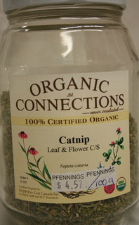 Catnip_Bulk thumbnail