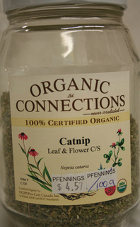 Catnip Leaf & Flower