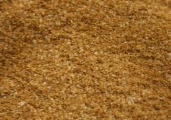 CelerySalt_Bulk_Detail thumbnail