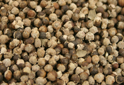 ChasteTree thumbnail