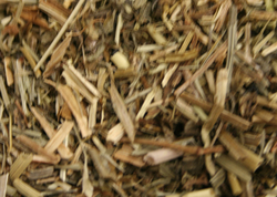Cleavers Herb thumbnail