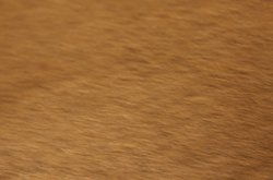 Cloves Ground thumbnail