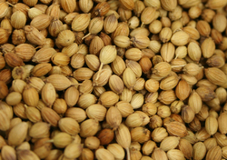 Coriander Seed Whole thumbnail