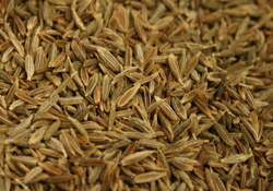 Cumin Seed Whole thumbnail