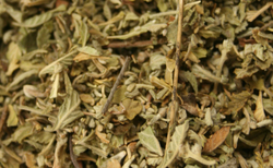 Damiana Leaf thumbnail