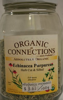 Echinacea JAR thumbnail