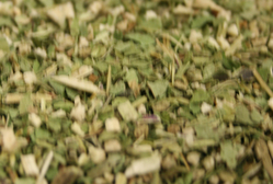 Echinacea thumbnail