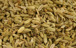 Fennel Seed Whole thumbnail