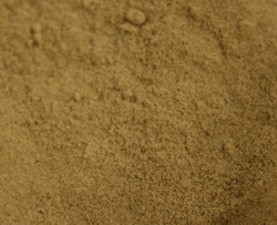 Ginger Root Ground thumbnail