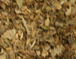 Ginko Leaf thumbnail