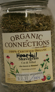 Horsetail Shavegrass JAR thumbnail