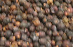 Juniper Berries thumbnail