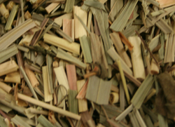 Lemongrass thumbnail