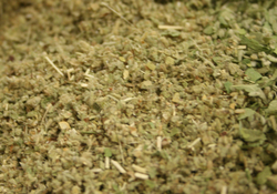 Marshmallow Leaf thumbnail