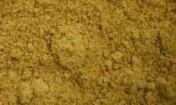 Mustard Seed Yellow Ground thumbnail