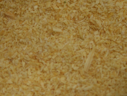 Onion White Sm Gan thumbnail