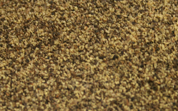Pepper Black Medium Grind thumbnail
