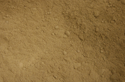 Rosemary Leaf Powder thumbnail